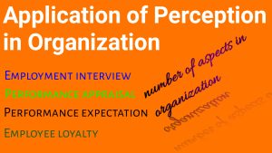 Application of Perception in Organization