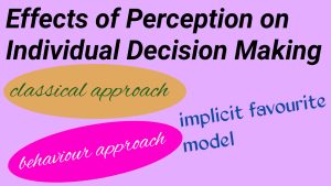 Effects of Perception on Individual Decision Making