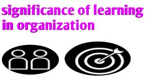 Significance of Learning in Organization