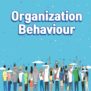 Organizations Behaviour