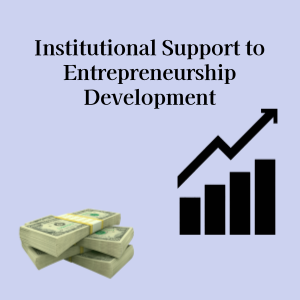 Institutional Support to Entrepreneurship Development