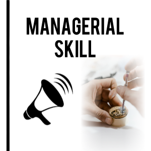 Managerial Skill