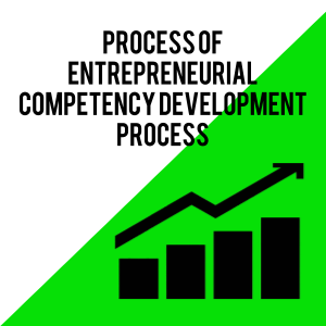 Process of Entrepreneurial Competency Development Process