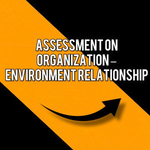Assessment on organization – Environment relationship