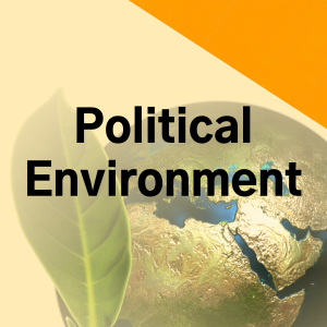 Political Environment
