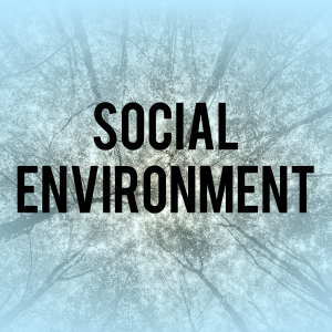 Social Environment