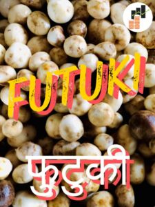 Futuki | फुटुकी