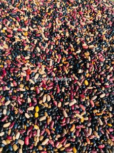 सिमी | गेडा गुडी | तरकारी